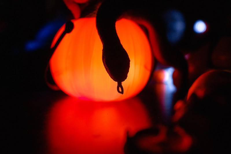 Украшение дома паутиной и летучими мышами к Хэллоуину в Volgograd